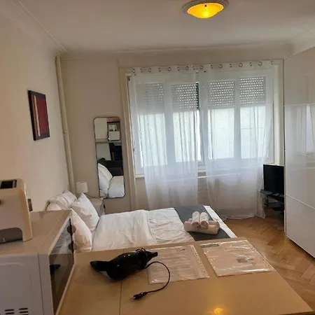 Near Centre And Train Station * Lausanne